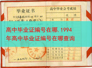 高中毕业证编号在哪,1994年高中毕业证编号在哪查询